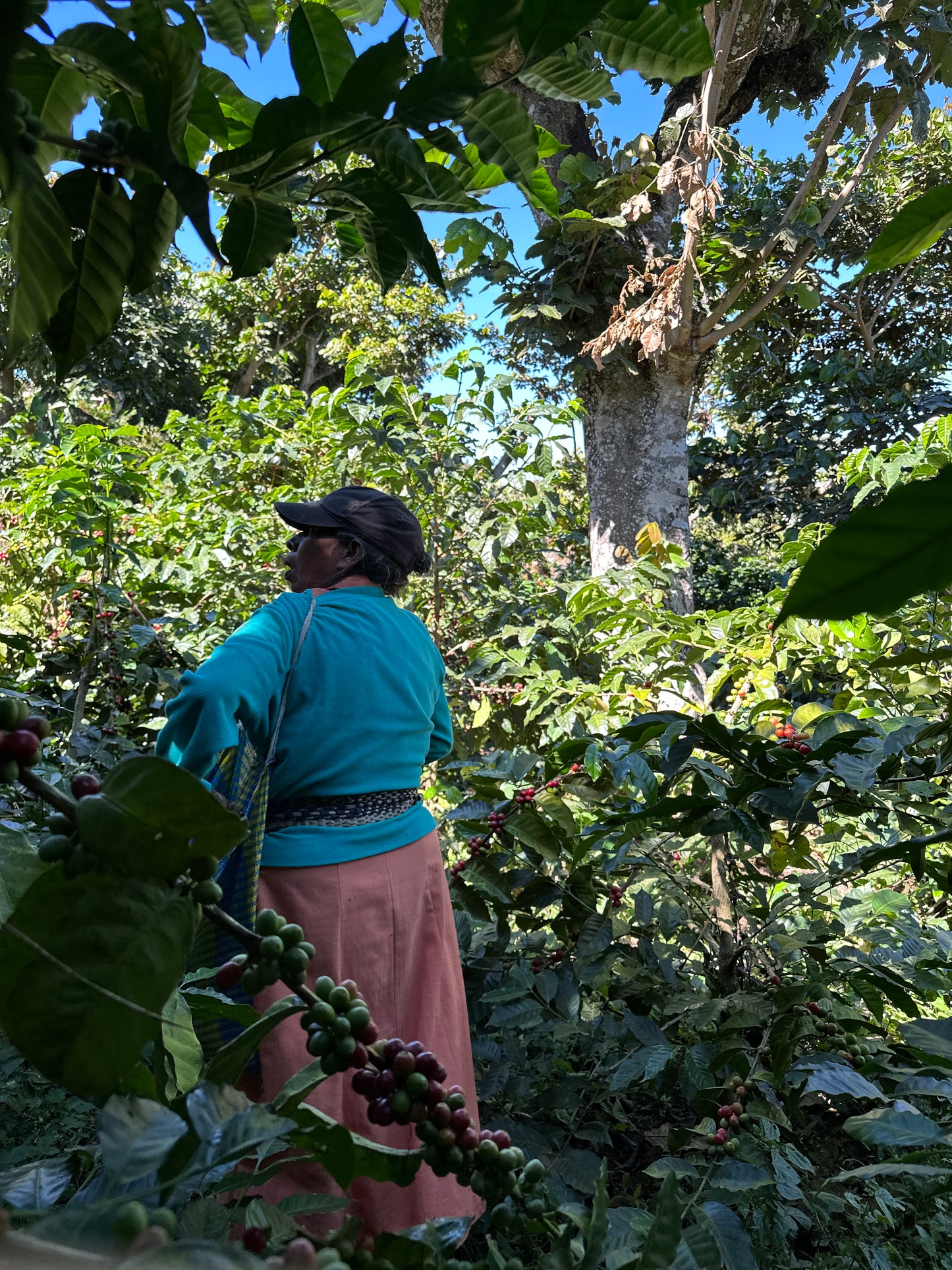 Noruega, El Salvador