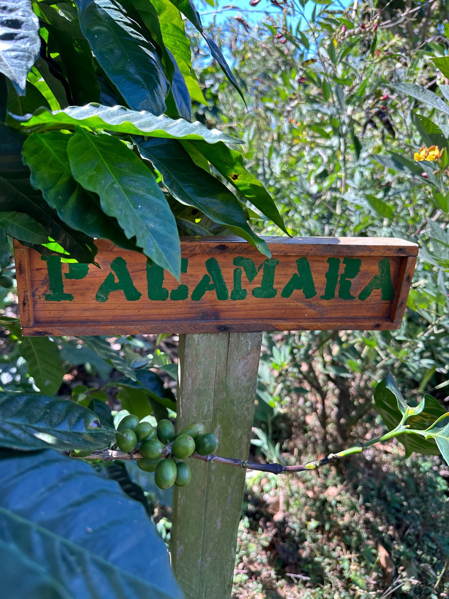 Noruega, El Salvador