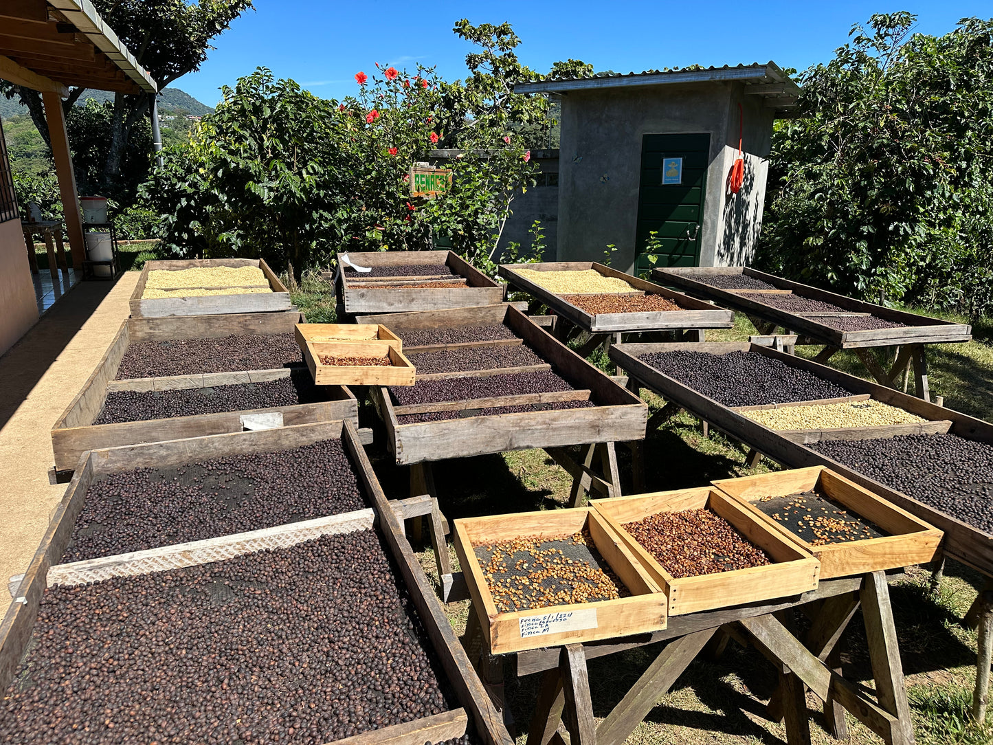 Noruega, El Salvador