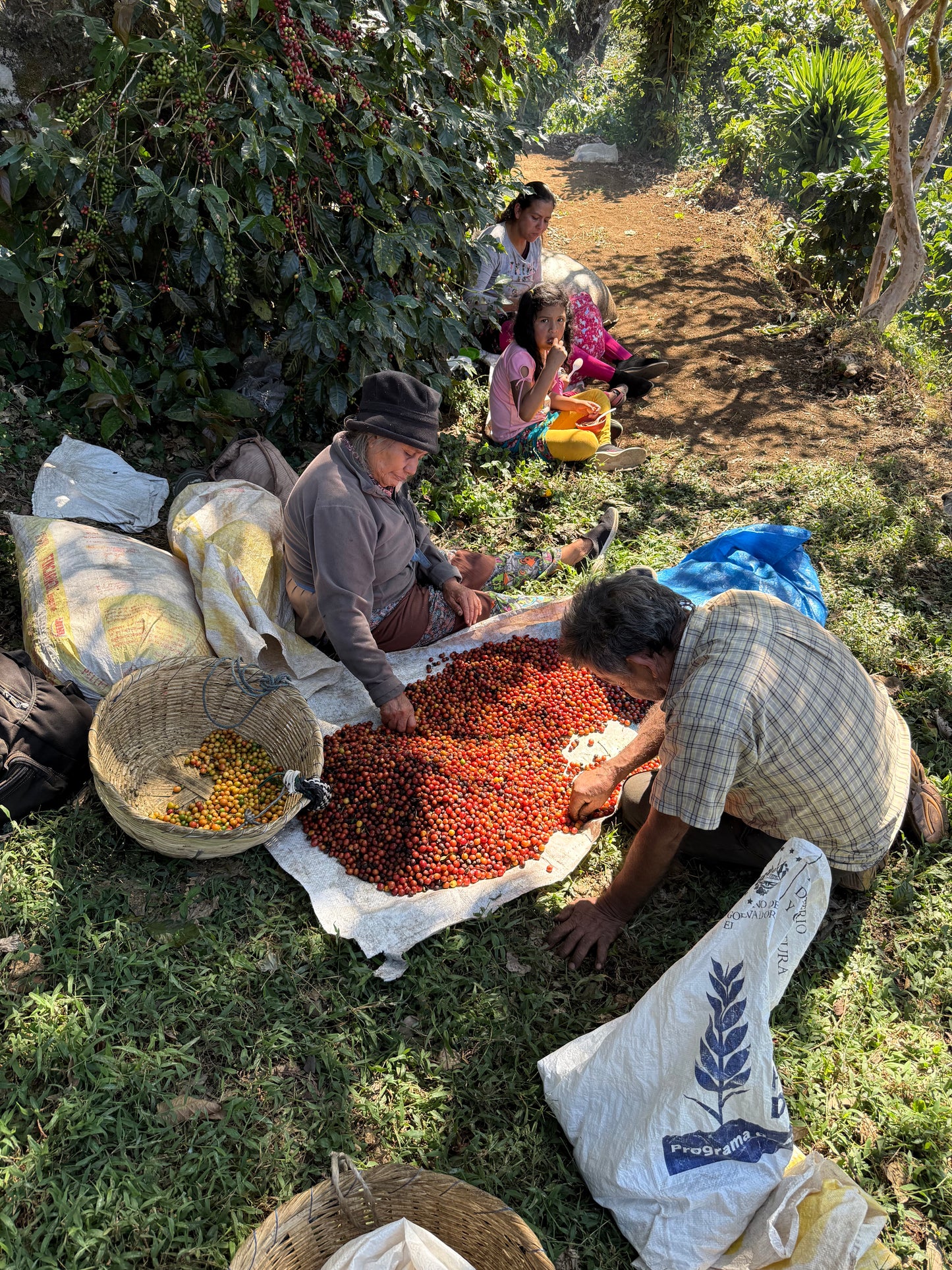 Noruega, El Salvador