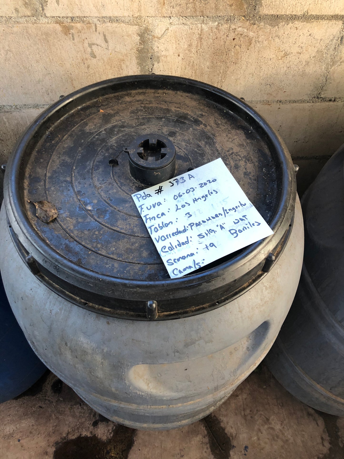 Noruega, El Salvador