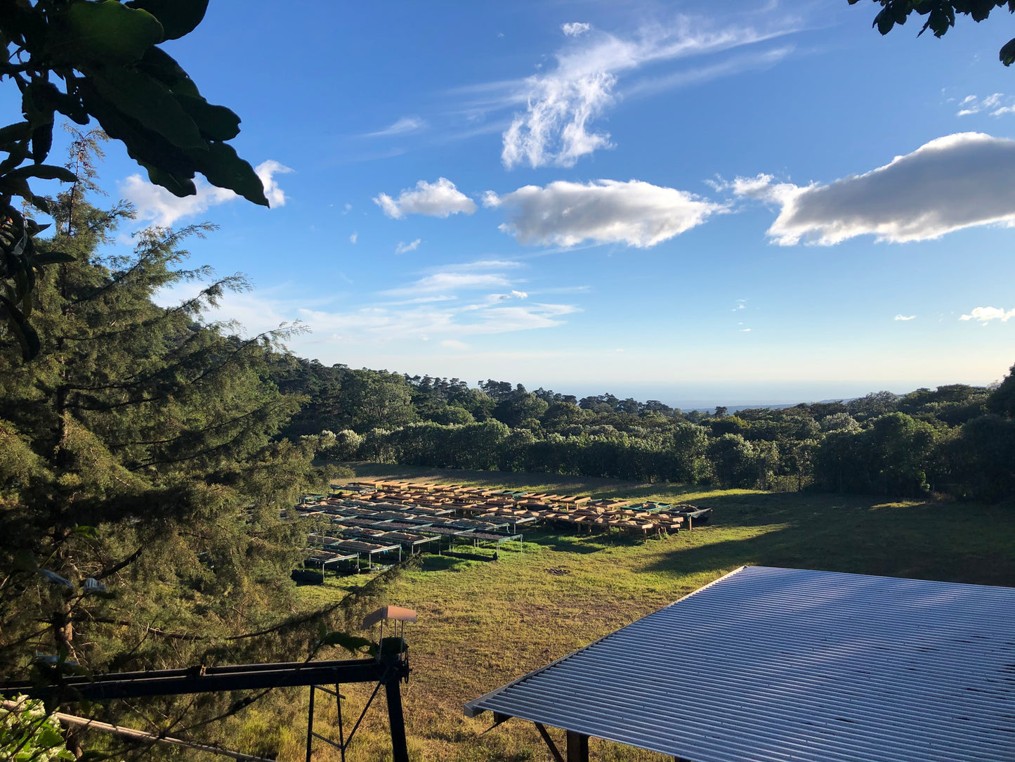 Noruega, El Salvador