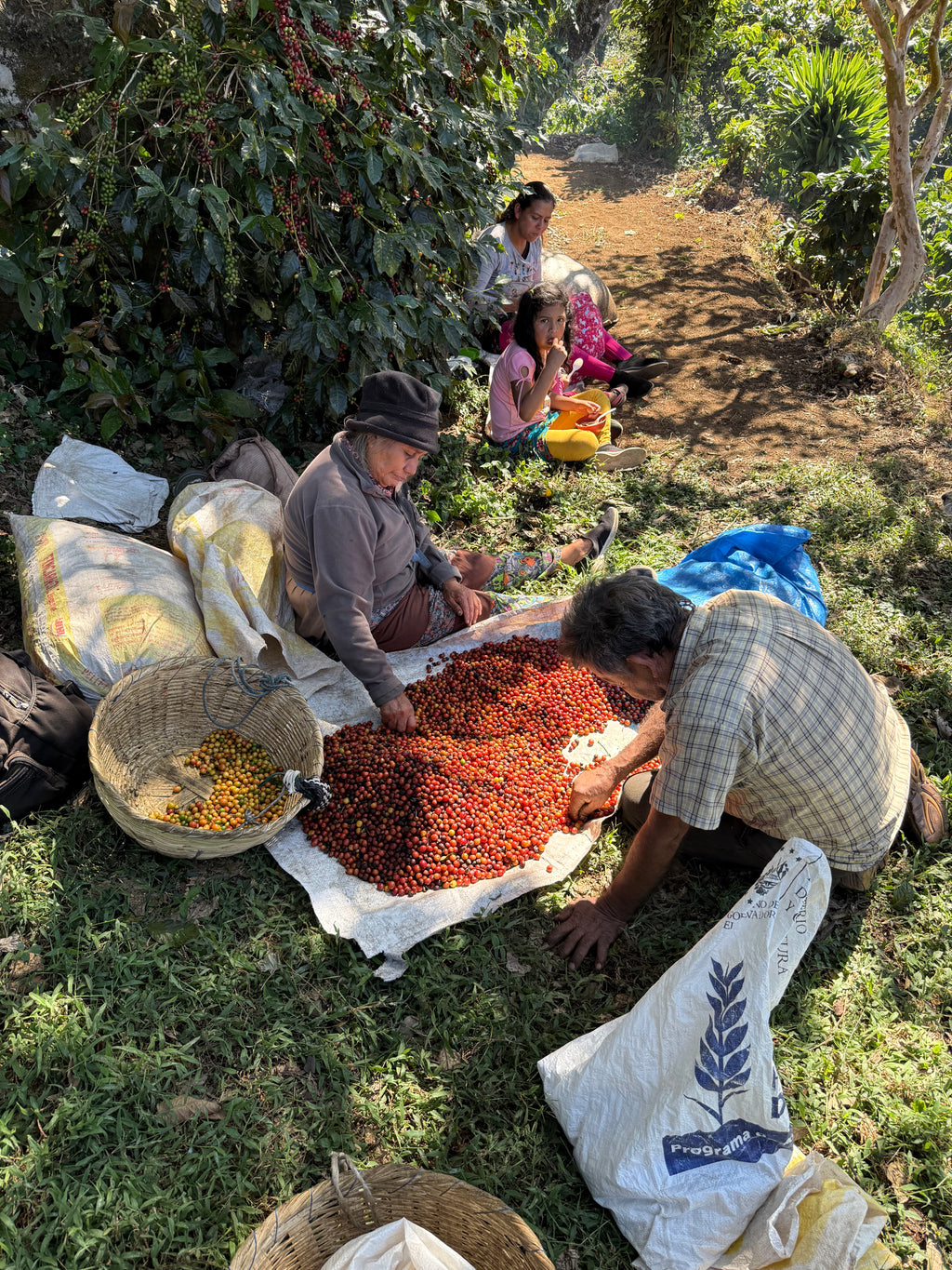 Noruega, El Salvador