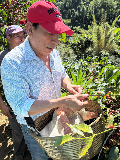 Noruega, El Salvador