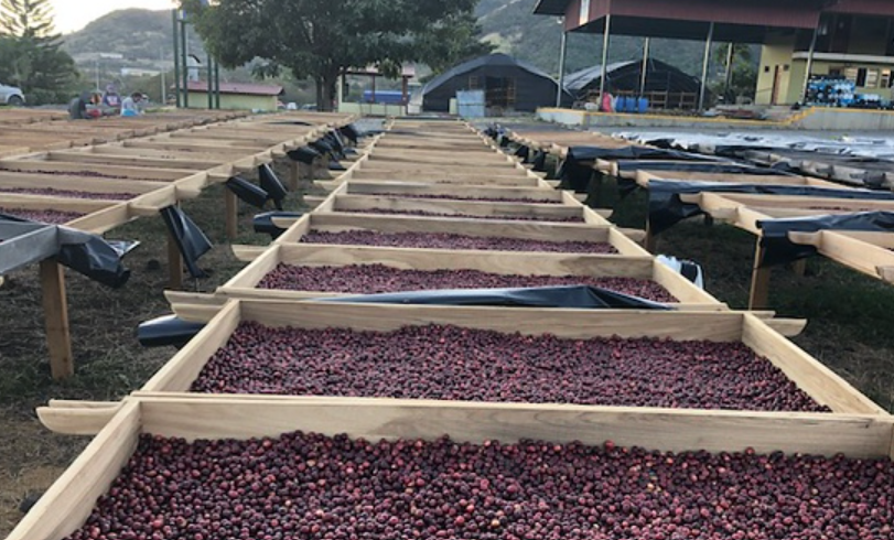 San Antonio, Nigaragúa