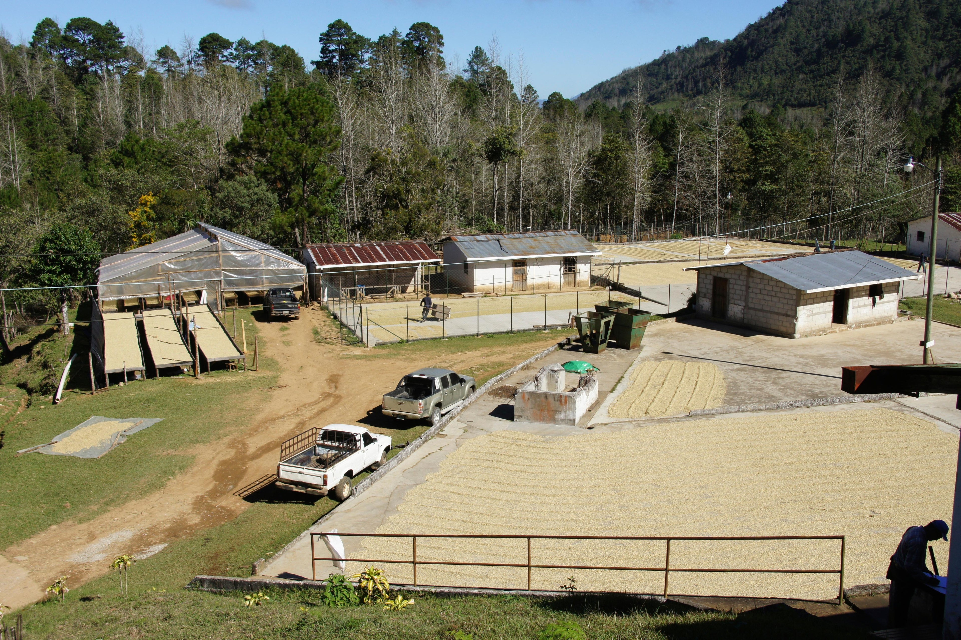 Cabarello, Hondúras,