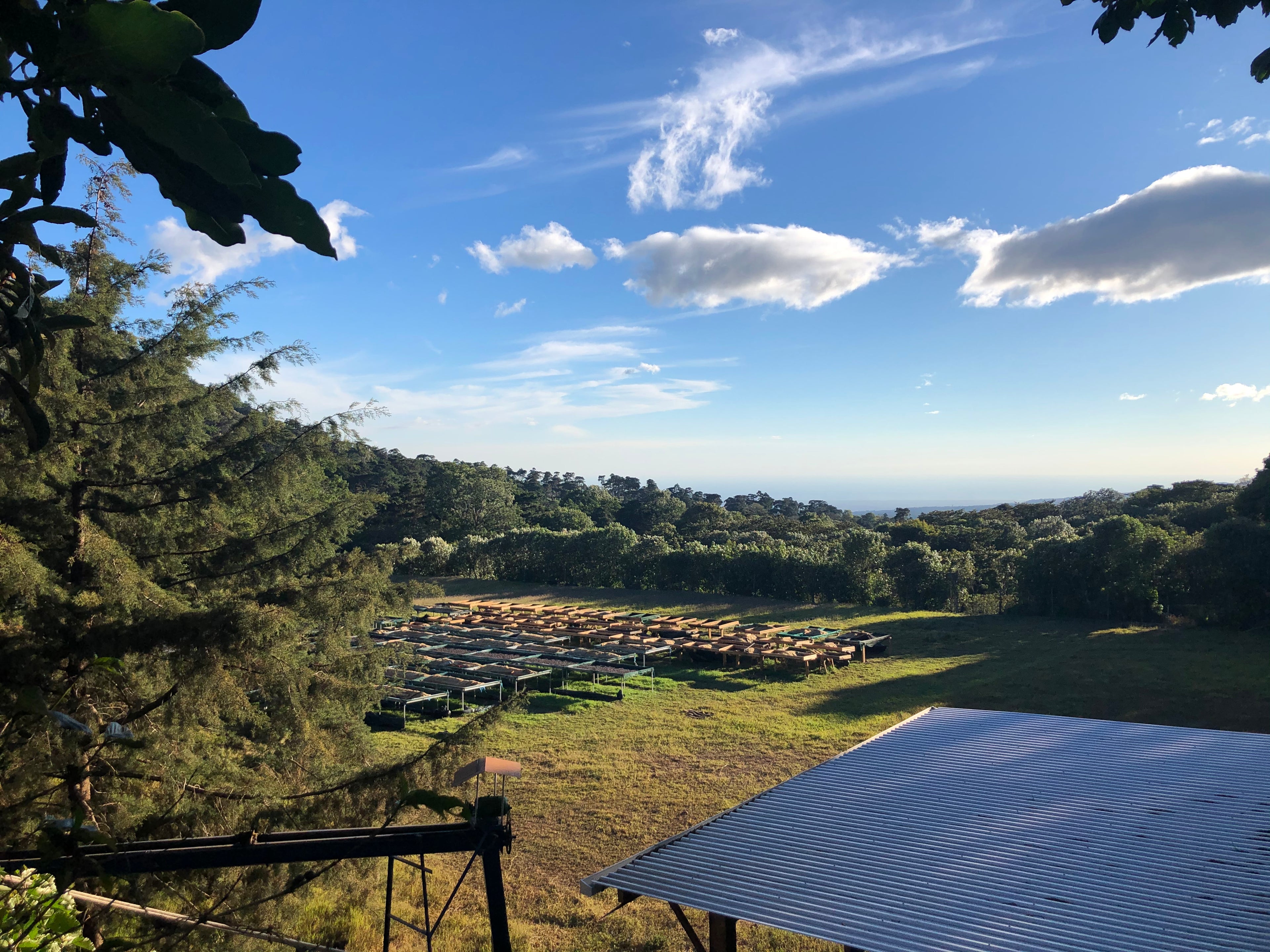 Noruega, El Salvador
