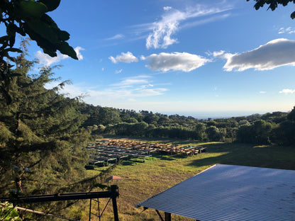 Noruega, El Salvador