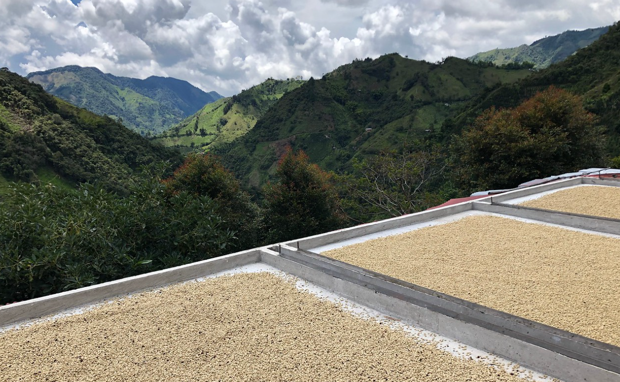 Madalena, Kólumbía