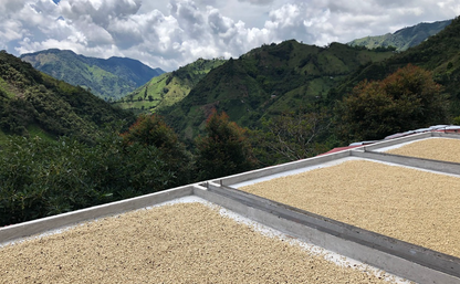 Madalena, Kólumbía