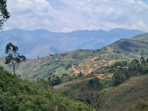 Aromas del Valle, Perú
